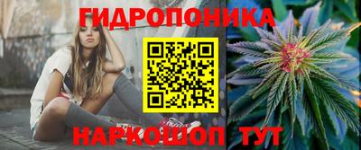 spice Гай