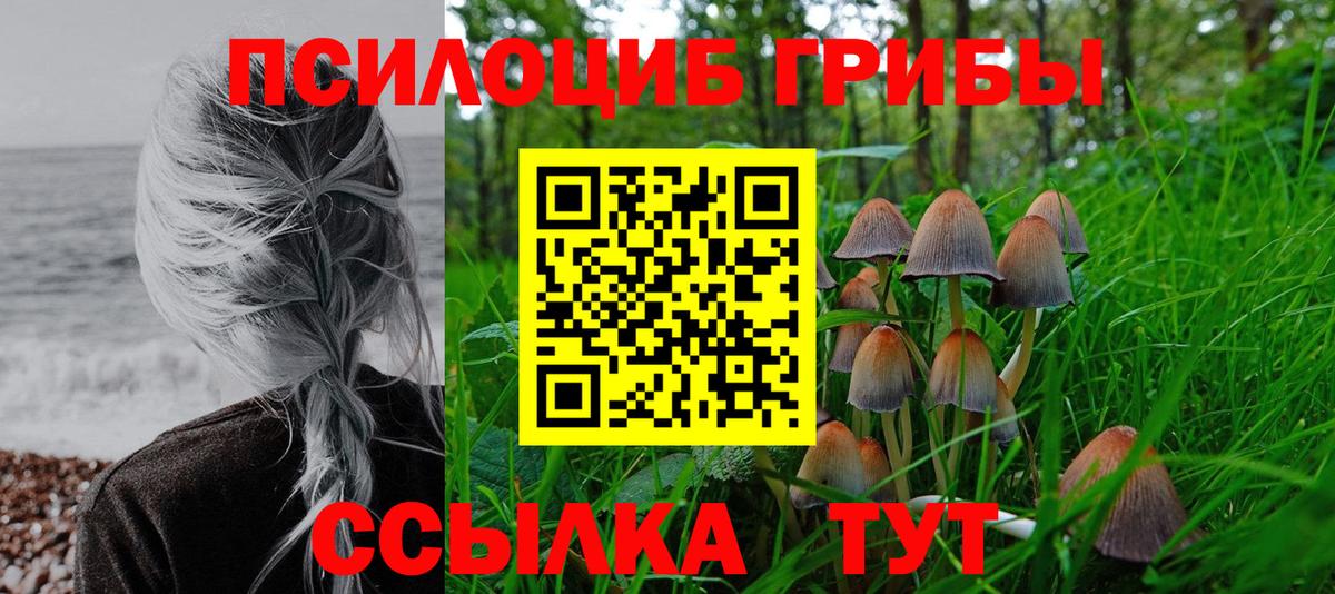 Зеленогорск  Псилоцибиновые грибы мицелий  Вход с VPN 